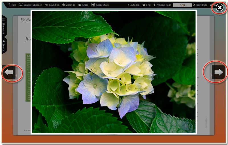 FlipBook Creator Professional Photo slideshow preview effect
