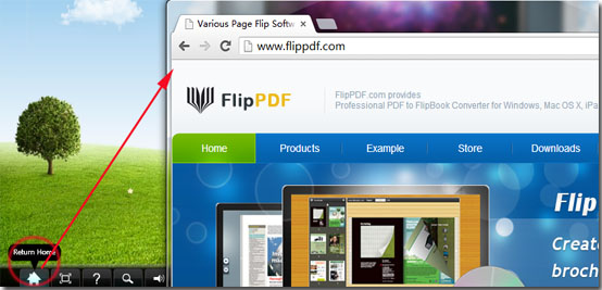 Use Flash Book Flipper to add a Link Button on your flipbook.