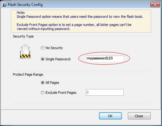 PDF flash flpping book security password entering