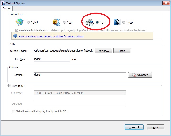 select exe output type