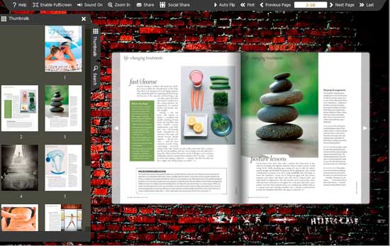 FlipBook Creator Themes Pack - Red Brick screen shot
